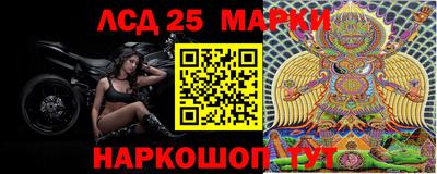 прущие грибы Кингисепп