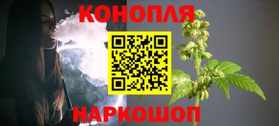 прущие грибы Кингисепп