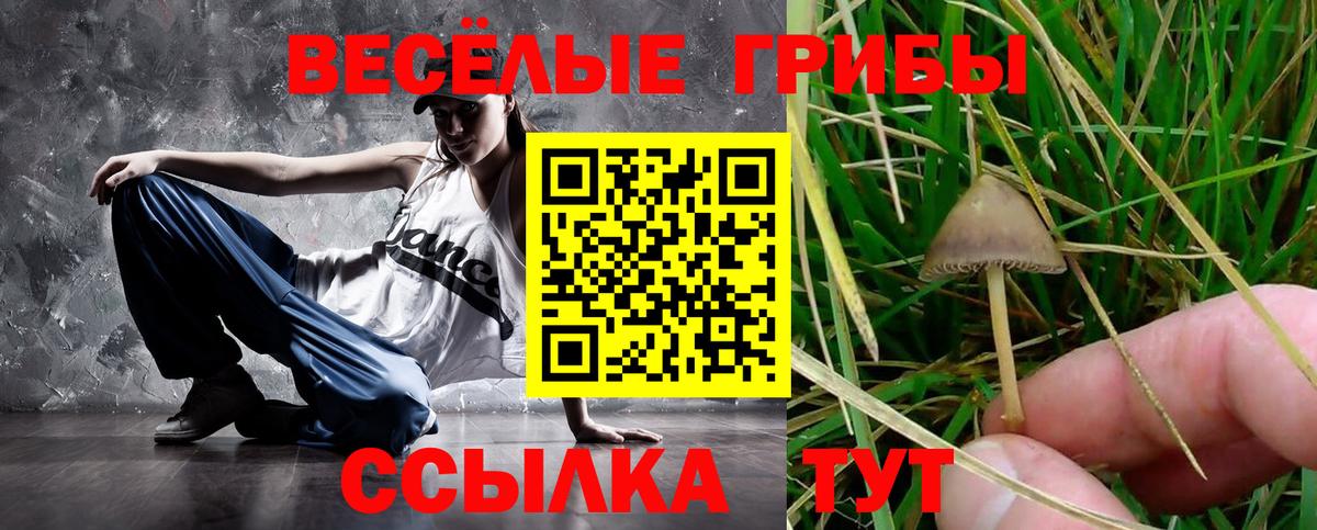 Галлюциногенные грибы Cubensis Кимры
