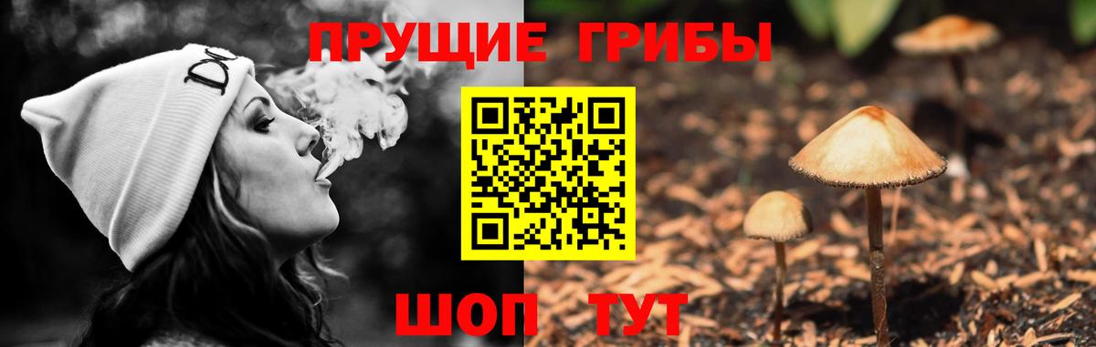 Кимры  Псилоцибиновые грибы прущие грибы  Вход с VPN 