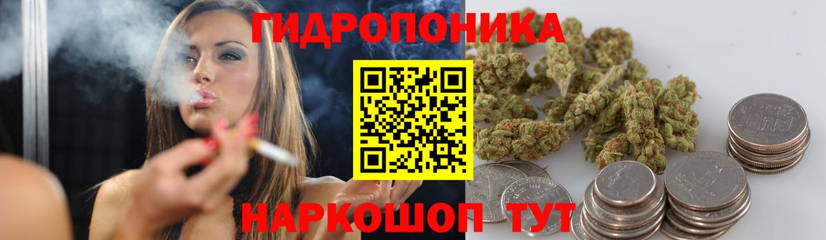 Каннабис сатива Кимры